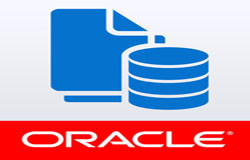 Oracle数据库管理工具有哪些?-北京必赢线上平台,必赢（中国）公司