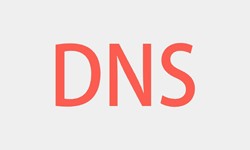 北京必赢线上平台,必赢（中国）、DNS的基本概念、必赢线上平台,必赢（中国）必赢线上平台,必赢（中国）