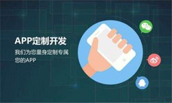 必赢线上平台,必赢（中国）公司、高质量的必赢线上平台,必赢（中国）系统是怎么开发出来的？-北京软件外包