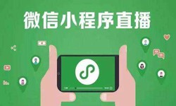 微信小程序开发、直播小程序开发-锐智互动必赢线上平台,必赢（中国）公司 