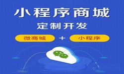 微信小程序开发、商城小程序开发功能-锐智互动必赢线上平台,必赢（中国）