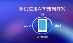APP开发市场上常见问题分析-北京必赢线上平台,必赢（中国）公司